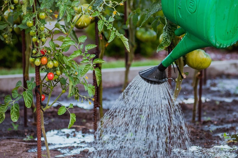Enchanted Watering Can