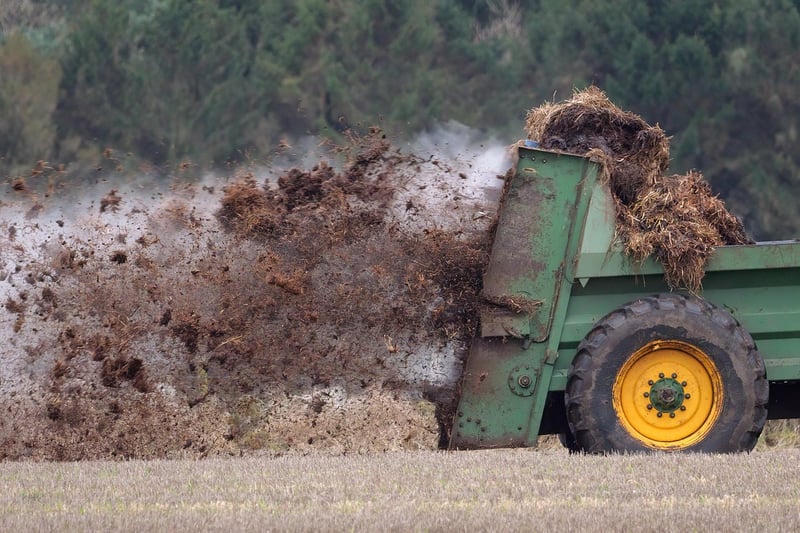 Magic Fertilizer